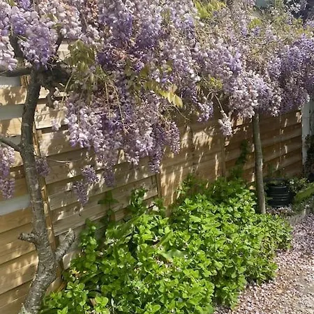 Holiday home La D'anna, Decoration Tres Tendance ! *